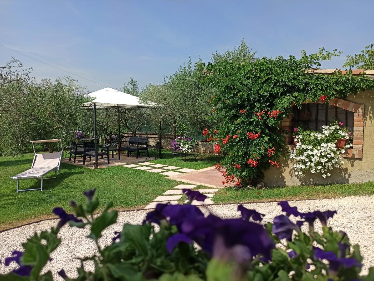 Le Zampolle B & B Colà Exterior foto